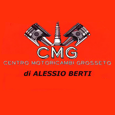 Logo di CENTRO MOTORICAMBI GROSSETO DI ALESSIO BERTI