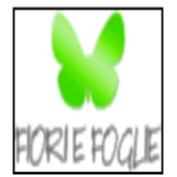 Logo di FIORI E FOGLIE