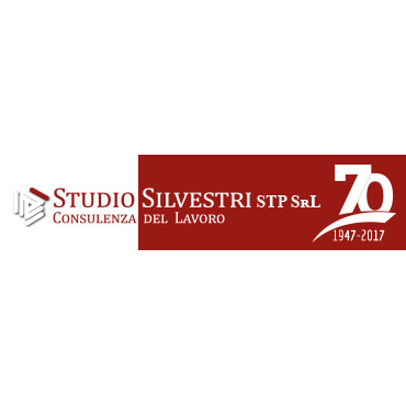 Logo di SILVESTRI DR. VINCENZO CONSULENTE DEL LAVORO