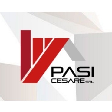 Logo di PASI CESARE LATTONIERI