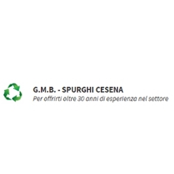 Logo di AUTOSPURGHI G.M.B.