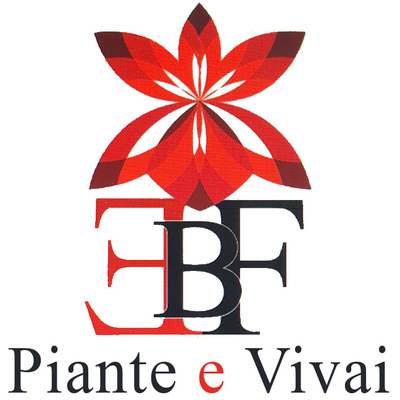 Logo di EBF - PIANTE E VIVAI