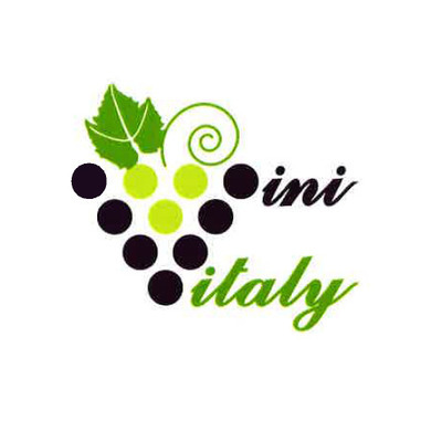 Logo di VINI ITALY