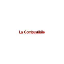 Logo di LA COMBUSTIBILE