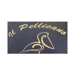 Logo di BAR IL PELLICANO