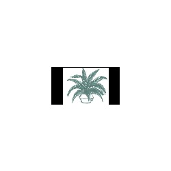 Logo di ERBORISTERIA PROFESSIONALE