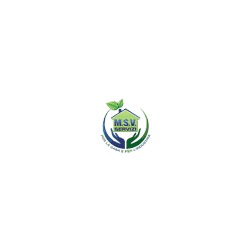 Logo di MSV SERVIZI