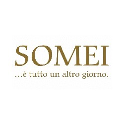 Logo di SOMEI