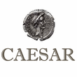 Caesar Traduzioni Professionali, Tecniche e Giurate Caesar Traduzioni Professionali, Tecniche e Giurate