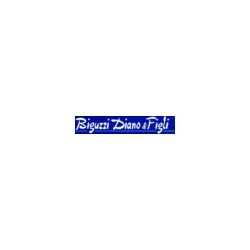 Logo di BIGUZZI DIANO E FIGLI