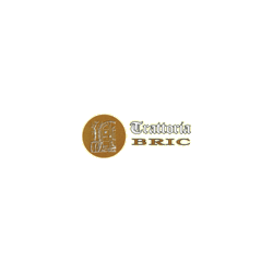 Logo di TRATTORIA BRIC