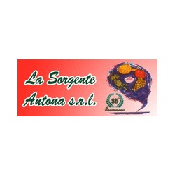 Logo di LA SORGENTE ANTONA