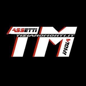 Logo di TM ASSETTI