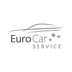 Logo di EURO CAR SERVICE