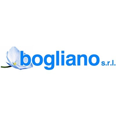 Logo di BOGLIANO