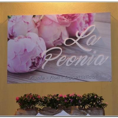 Logo di LA PEONIA MACCHIA