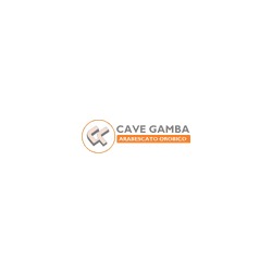 Logo di CAVE GAMBA