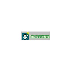 Logo di CARPENTERIA DOZIO CLAUDIO
