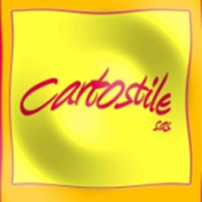 Logo di CARTOSTILE