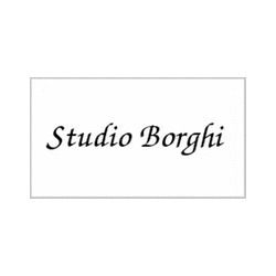 Logo di STUDIO BORGHI