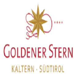Logo di HOTEL GOLDENER STERN