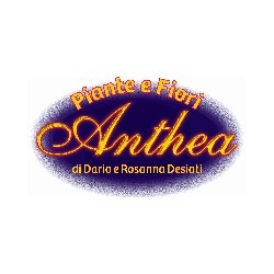 Logo di ANTHEA FIORI