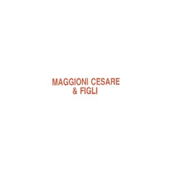 Logo di MAGGIONI CESARE E FIGLI SAS