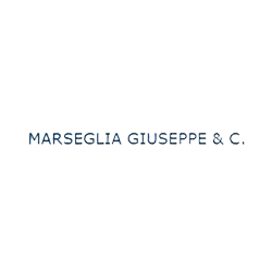 Logo di MARSEGLIA RICAMBI