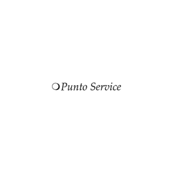 Logo di PUNTO SERVICE