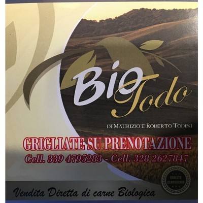 Logo di AZIENDA AGRICOLA BIO TODO