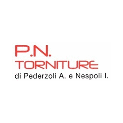 Logo di P.N. TORNITURE