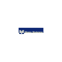 Logo di MODENESE SILVANO