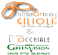 Logo di ISTITUTO OTTICO GILIOLI