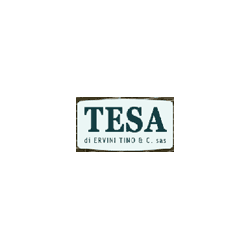Logo di TESA SAS