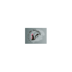 Logo di AGENZIA VIAGGI DEL GALLETTO