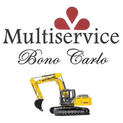 Logo di MULTISERVICE BONO CARLO
