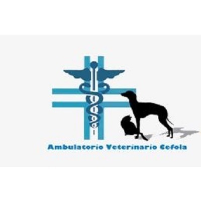 Logo di AMBULATORIO VETERINARIO CEFOLA DOTT. NICOLA