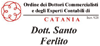 Logo di FERLITO DOTT. SANTO
