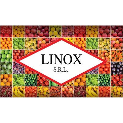 Logo di L'INOX