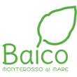 Logo di PESTOLAB BAICO