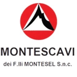 Logo di MONTESCAVI