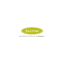 Logo di BICOM SPA