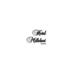 Logo di ALBERGO MILLELUCI