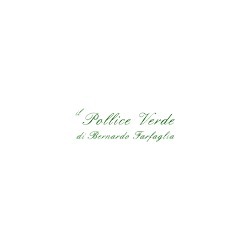 Logo di IL POLLICE VERDE - TUTTO PER GIARDINAGGIO E AGRICOLTURA
