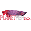 Logo di PLANETFISH & CO.