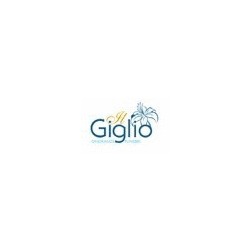 Logo di ONORANZE FUNEBRI IL GIGLIO