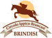 Logo di CENTRO IPPICO BRANCASI