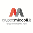 Logo di GRUPPO MICCOLI