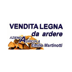 Logo di AZIENDA AGRICOLA MARTINOTTI EMILIO