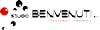 Logo di STUDIO BENVENUTI INFORTUNISTICA